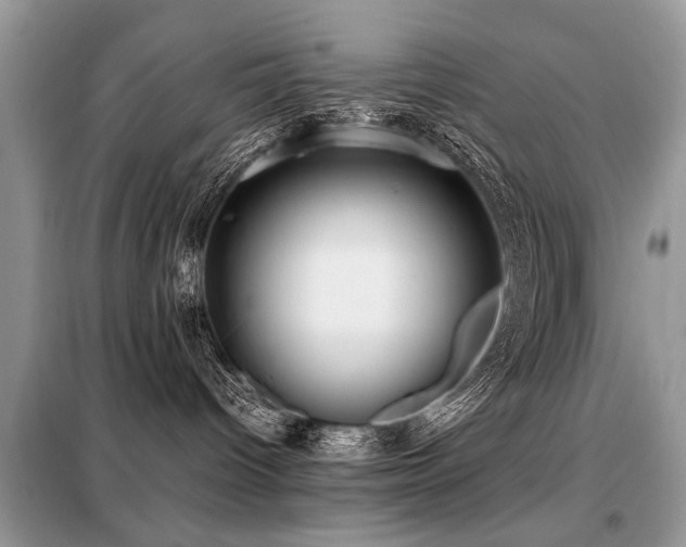 X0000099460096200805091539