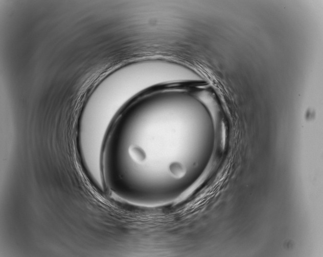 X0000099460097200805091539