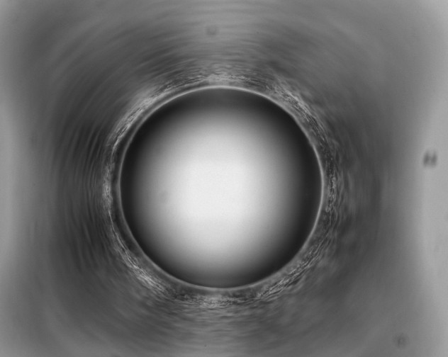 X0000099460098200805091538