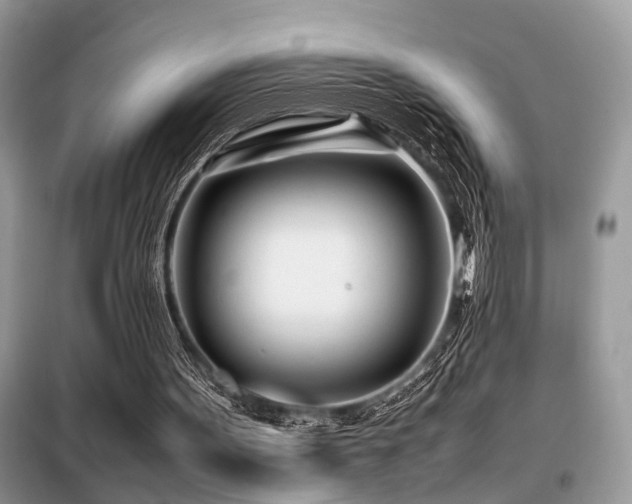 X0000099460099200805091538