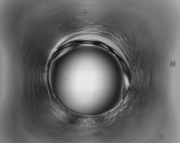 X0000099460100200805091538