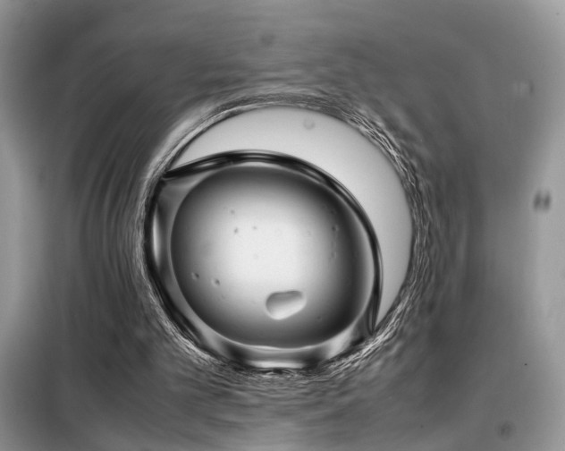 X0000099460101200805091538