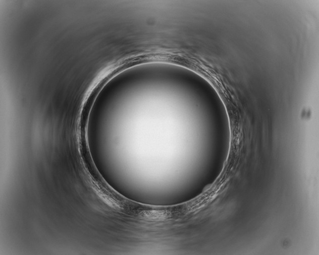 X0000099460102200805091538