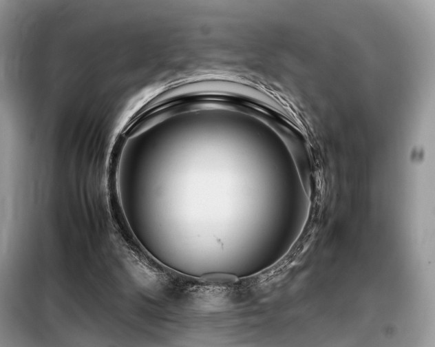 X0000099460104200805091538