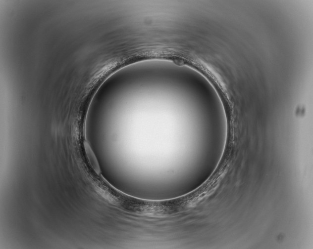 X0000099460105200805091538