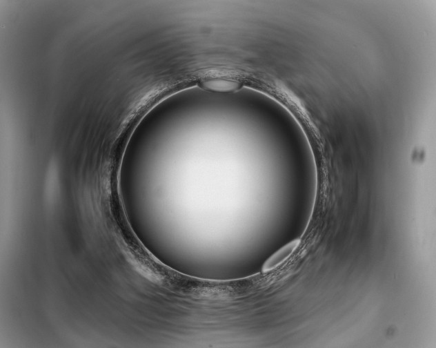 X0000099460106200805091538