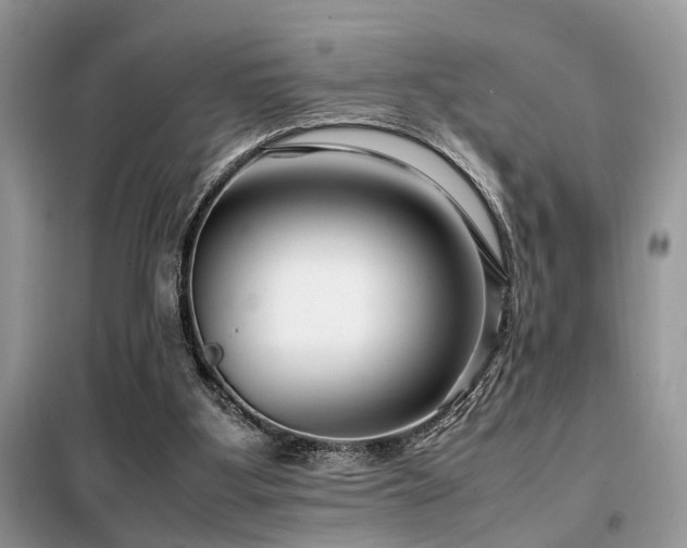 X0000099460107200805091538