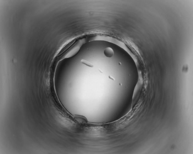 X0000099460108200805091538