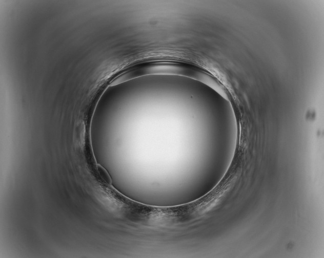 X0000099460109200805091538