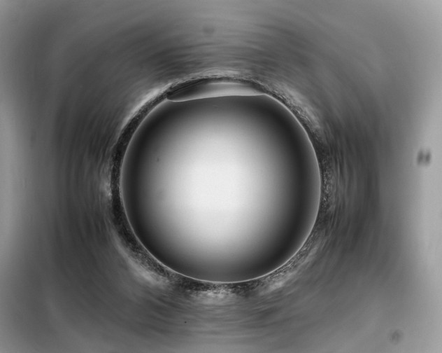 X0000099460112200805091538