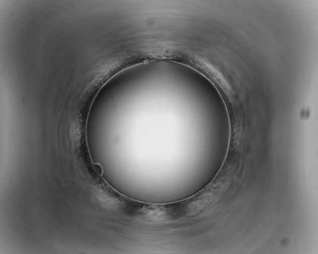 X0000099460113200805091538