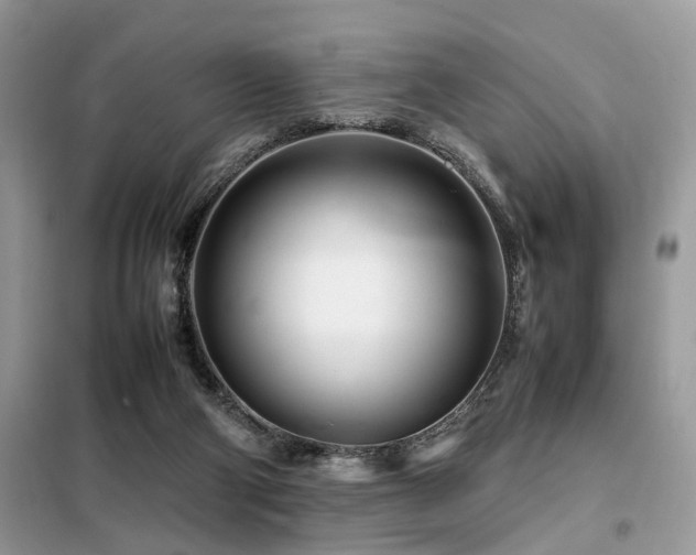 X0000099460114200805091538