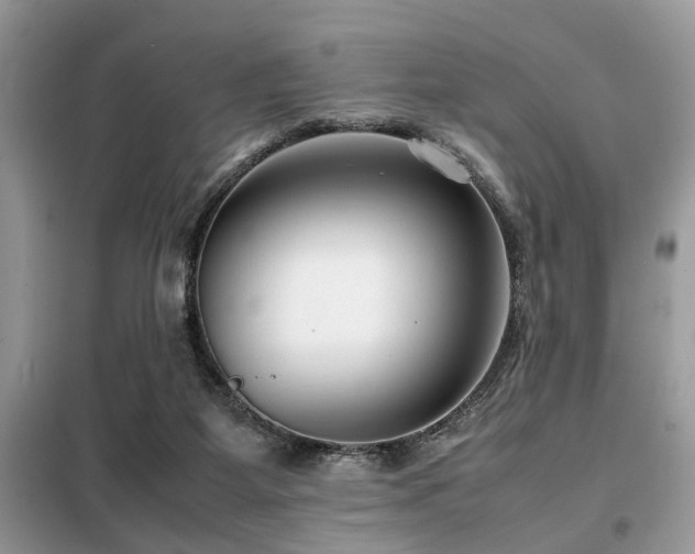 X0000099460115200805091538