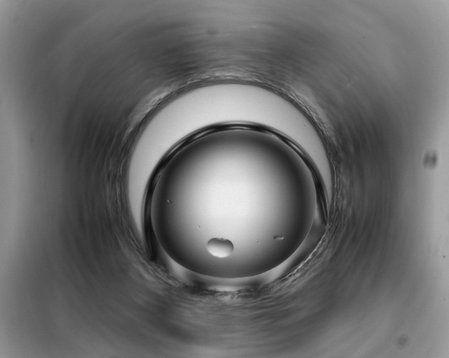 X0000099460116200805091538