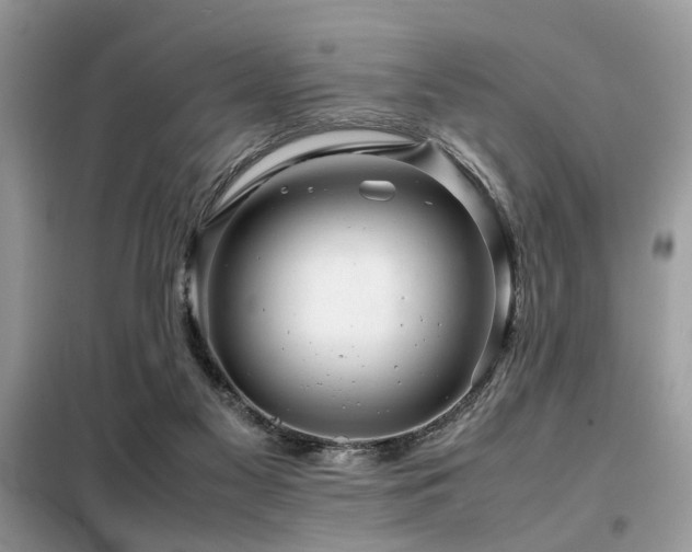 X0000099460117200805091538