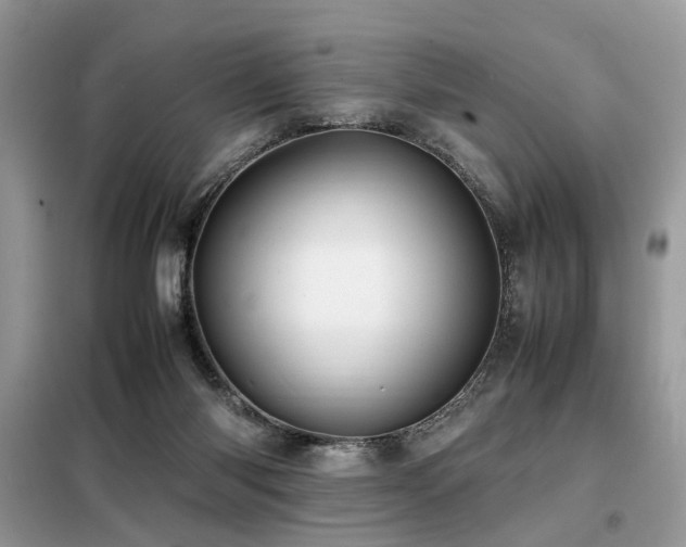 X0000099460118200805091538