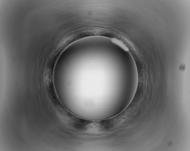 X0000099460119200805091538