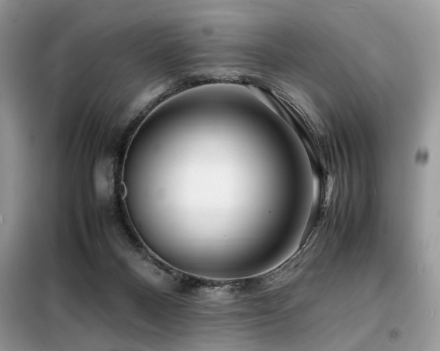 X0000099460120200805091538