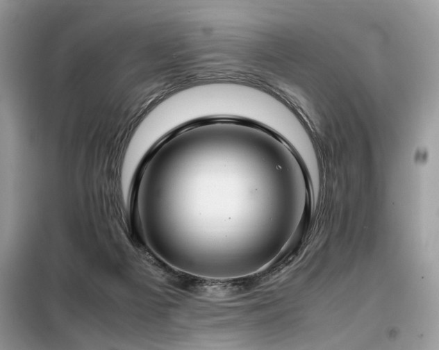 X0000099460121200805091538