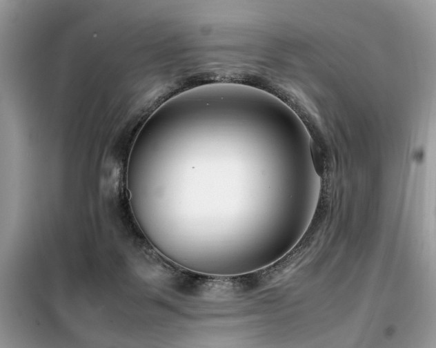 X0000099460123200805091538