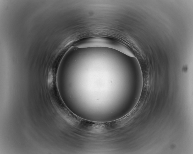 X0000099460124200805091538