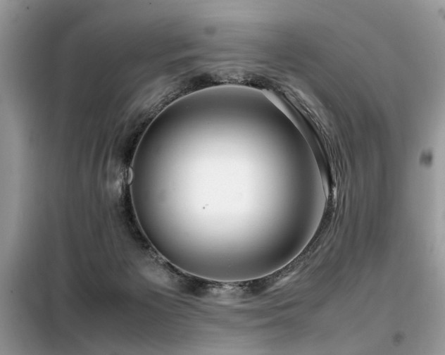 X0000099460125200805091538