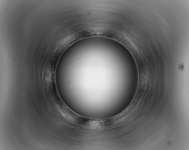 X0000099460126200805091538