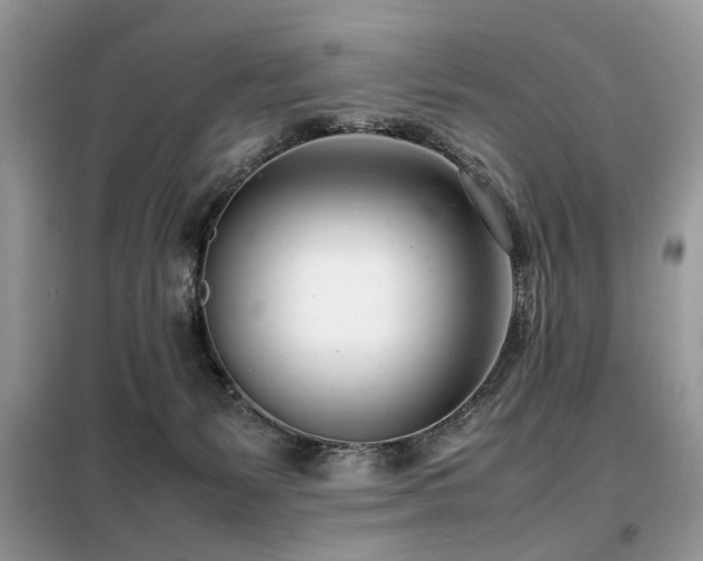 X0000099460127200805091538