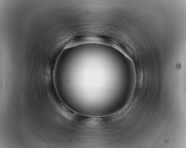 X0000099460128200805091538