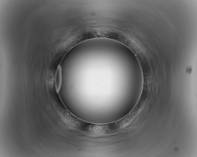 X0000099460129200805091538