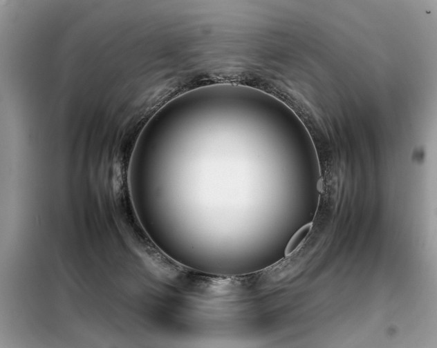 X0000099460130200805091538