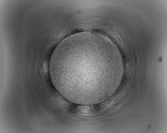 X0000099460131200805091538