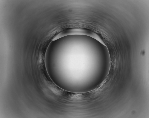 X0000099460132200805091538