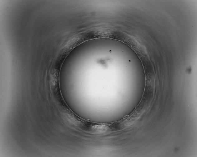 X0000099460133200805091538