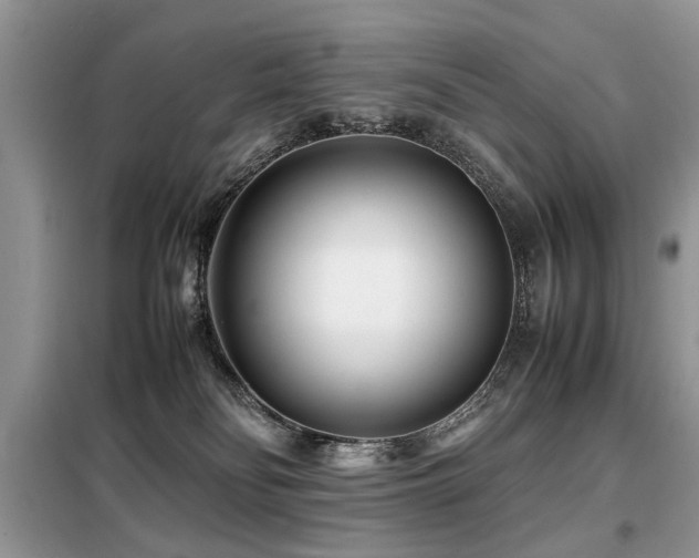 X0000099460134200805091538