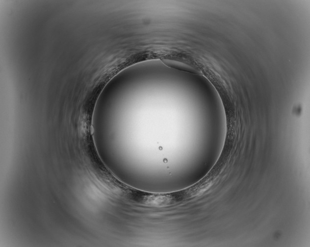 X0000099460135200805091538