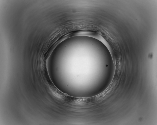 X0000099460136200805091538