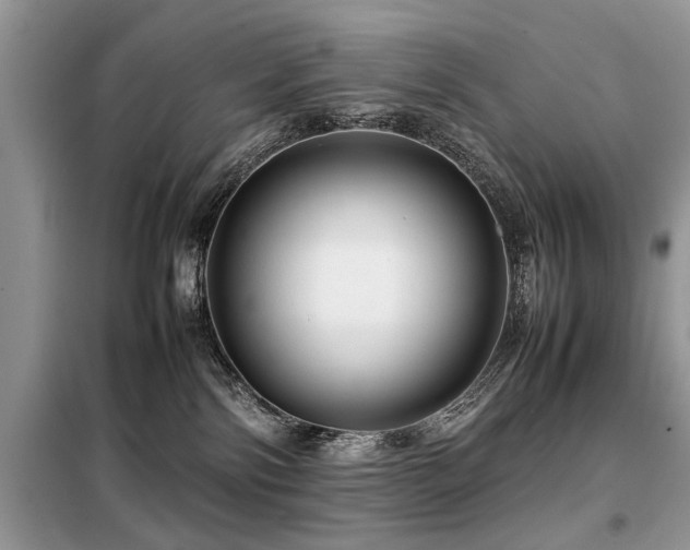 X0000099460138200805091538