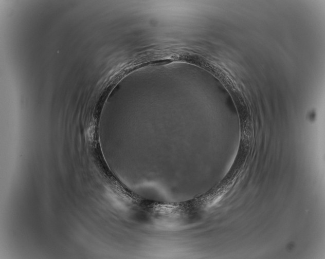 X0000099460139200805091538