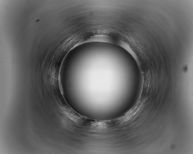 X0000099460140200805091538