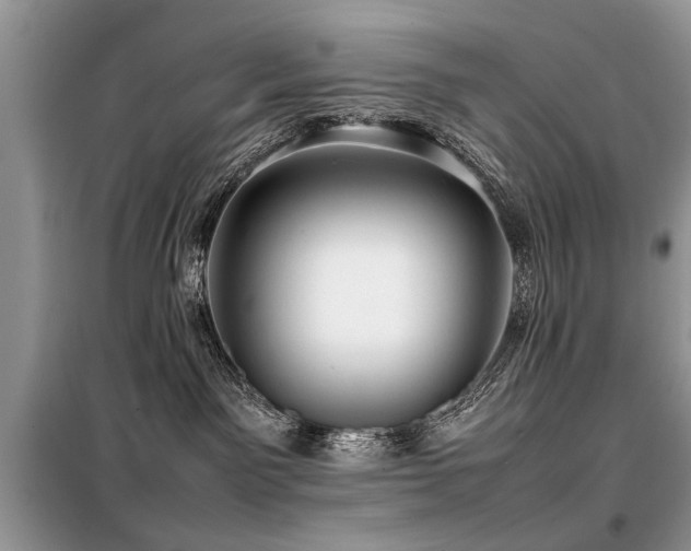 X0000099460141200805091538