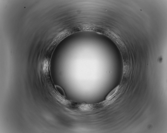 X0000099460142200805091538