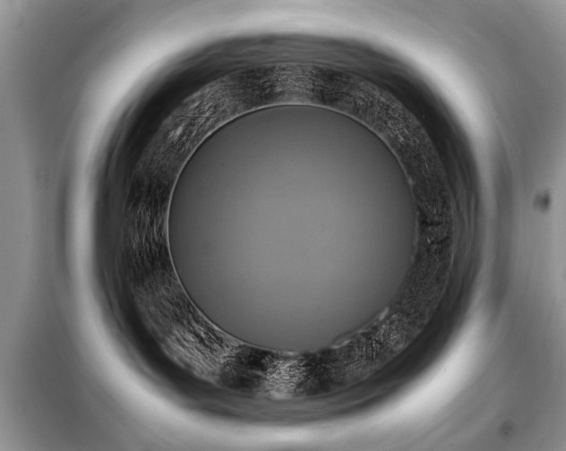 X0000099460143200805091538