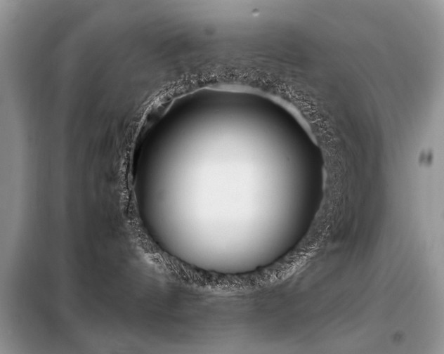 X0000099460144200805091538