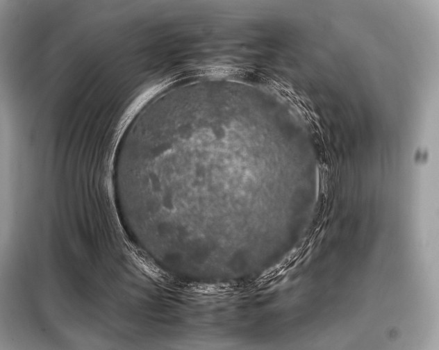 X0000099460147200805091537