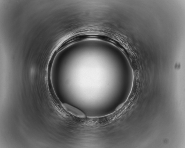 X0000099460148200805091537