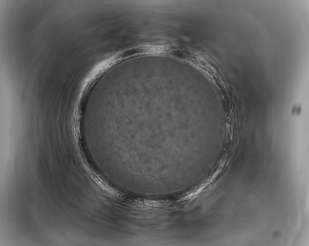 X0000099460149200805091537