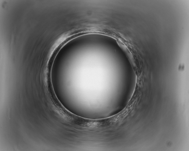 X0000099460152200805091537