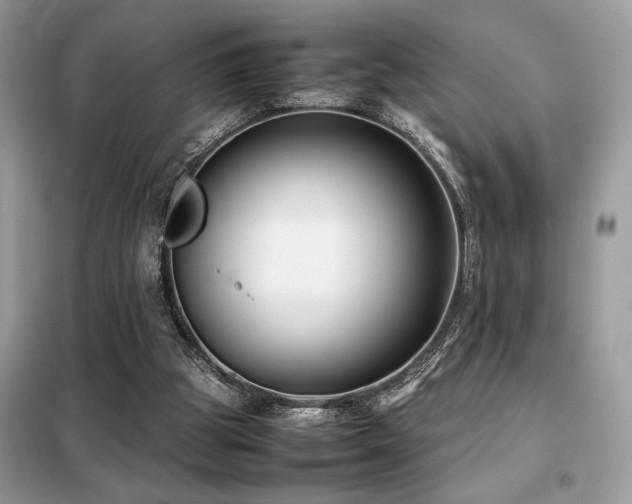 X0000099460153200805091537