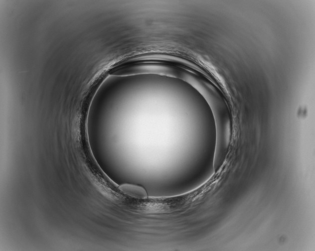 X0000099460154200805091537